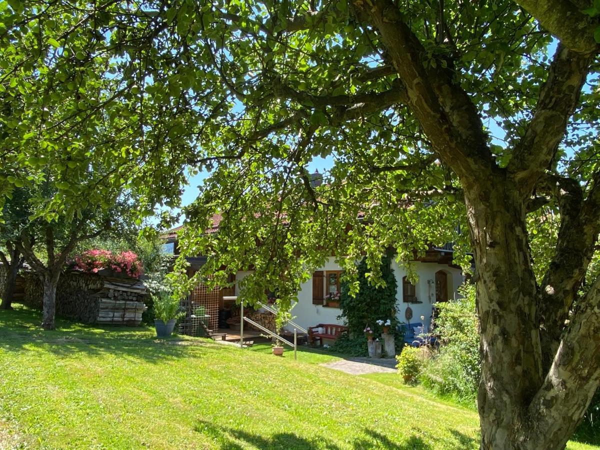 Haus Wiesengrund Фрауенау Екстериор снимка
